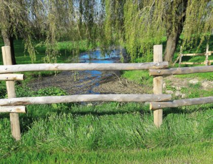 Piquets en clôture de terrain