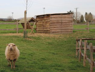 Cabane en planches