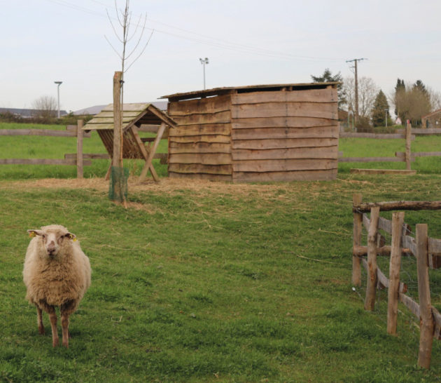 Cabane en planches