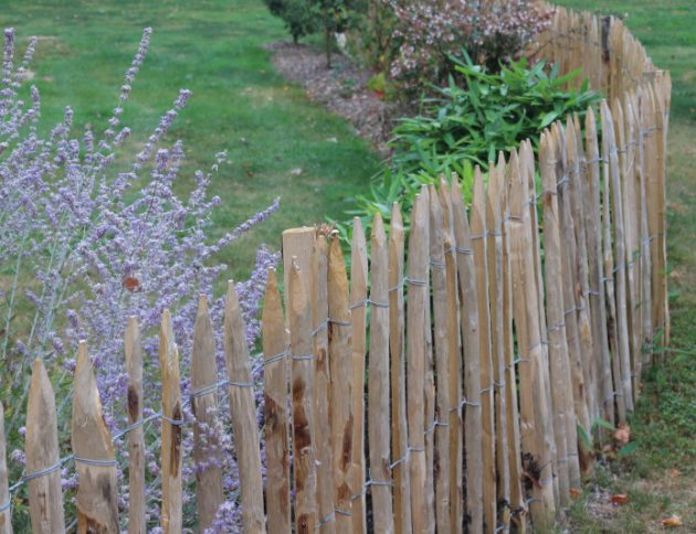 Ganivelles dans le jardin