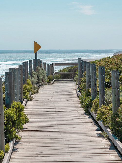 barrières, clotures, chemin en bois français