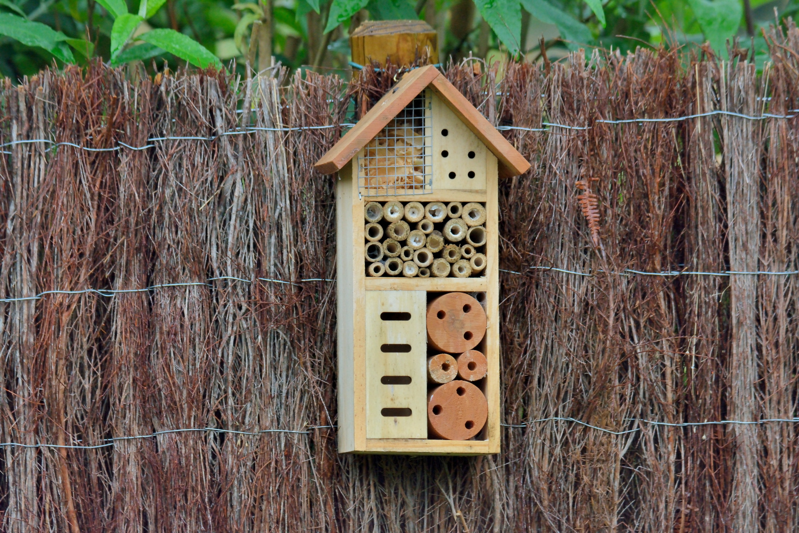 Boîte à insectes dans un jardin