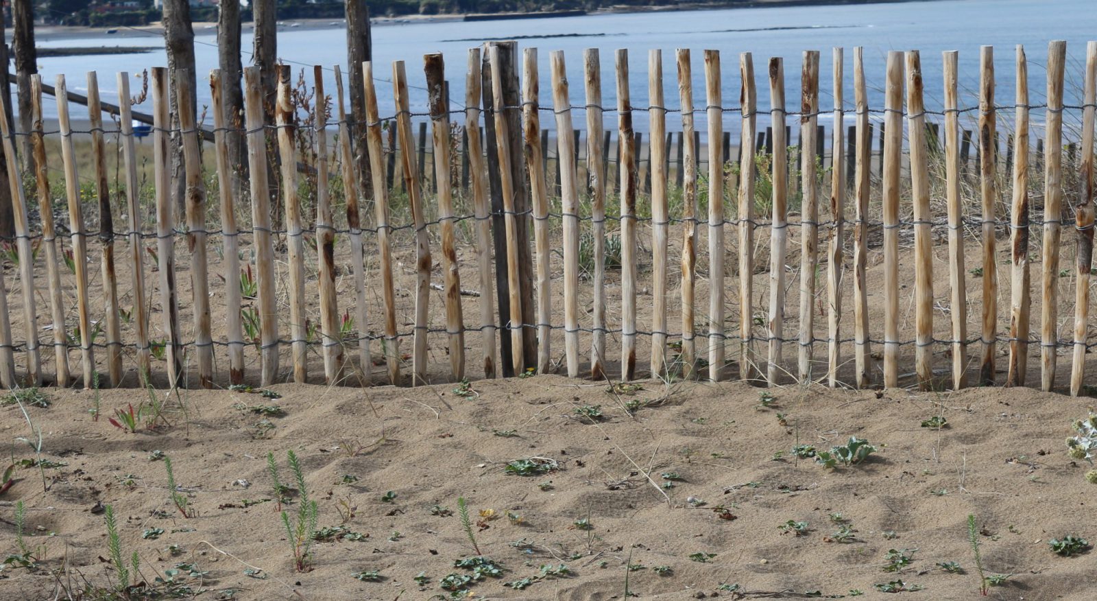 Clôture Ganivelles Plage