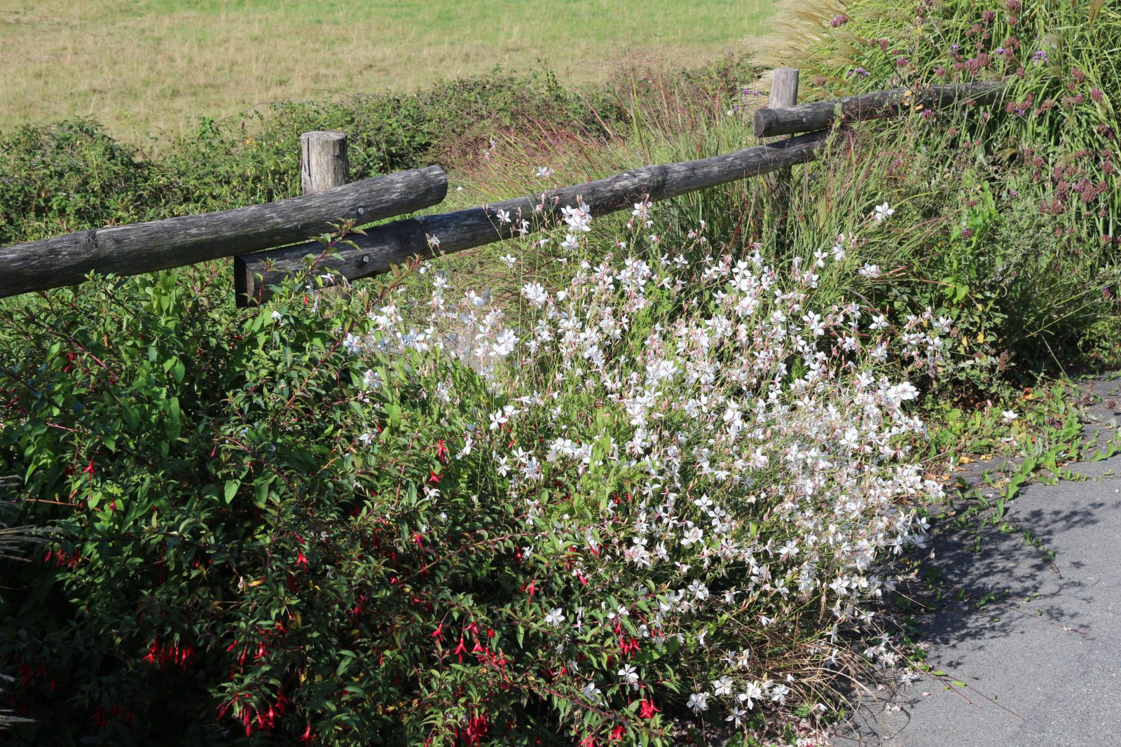 Piquets jardin fleuri