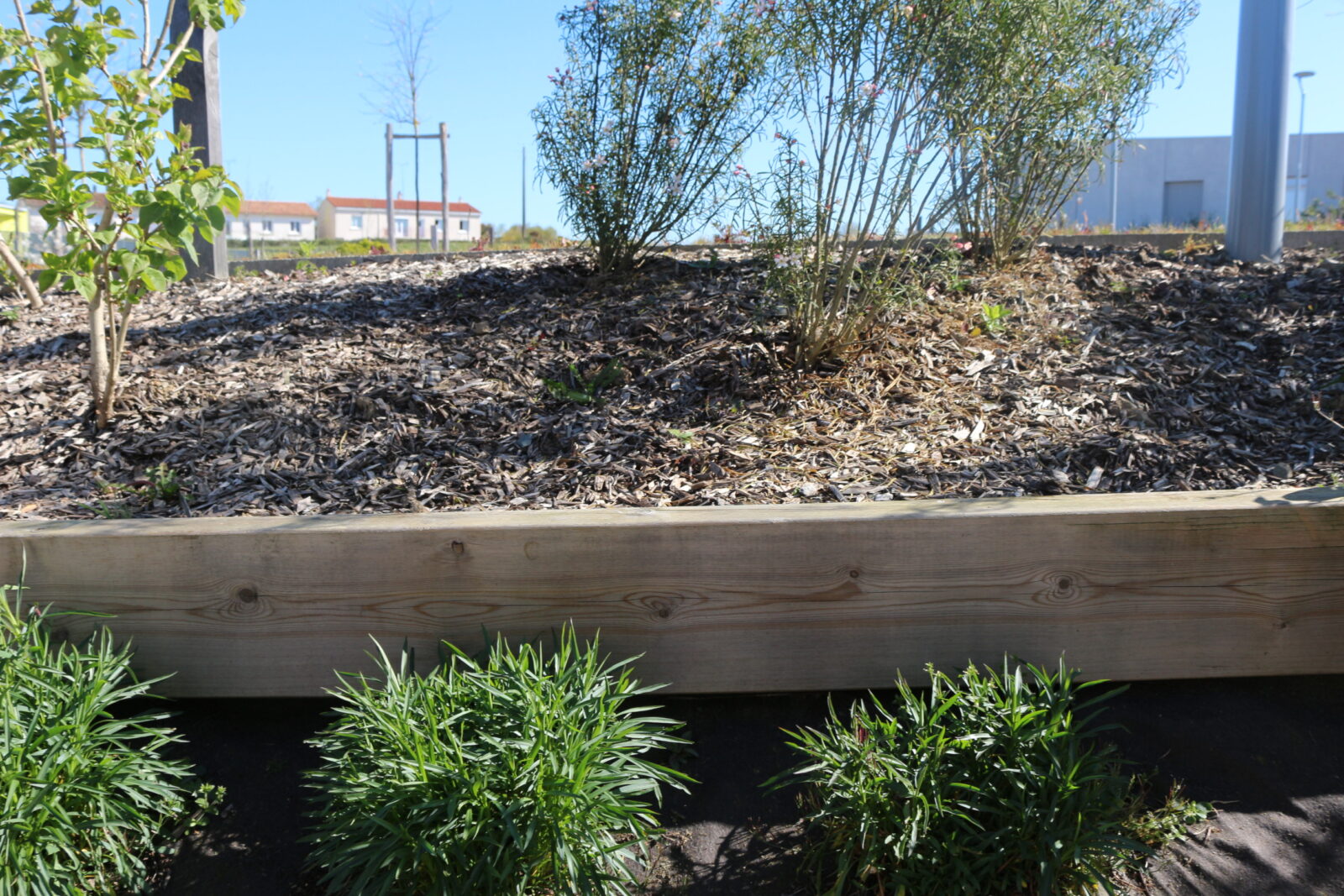 traverse-jardin-potager-chene